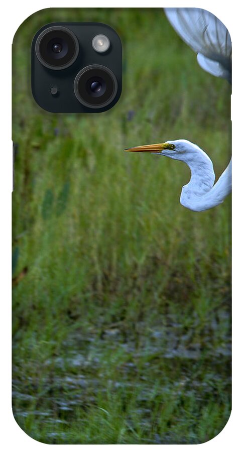 Bird iPhone Case featuring the photograph Half Way Through by Alison Belsan Horton