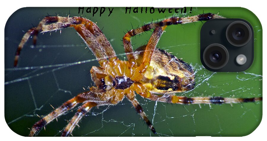 Spider iPhone Case featuring the photograph Halloween Spider by Michael Peychich