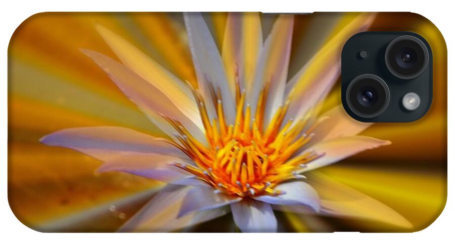 Water Lily iPhone Case featuring the photograph Halo by Nona Kumah