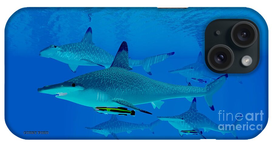 Hammerhead Shark iPhone Case featuring the painting Hammerhead Sharks by Corey Ford