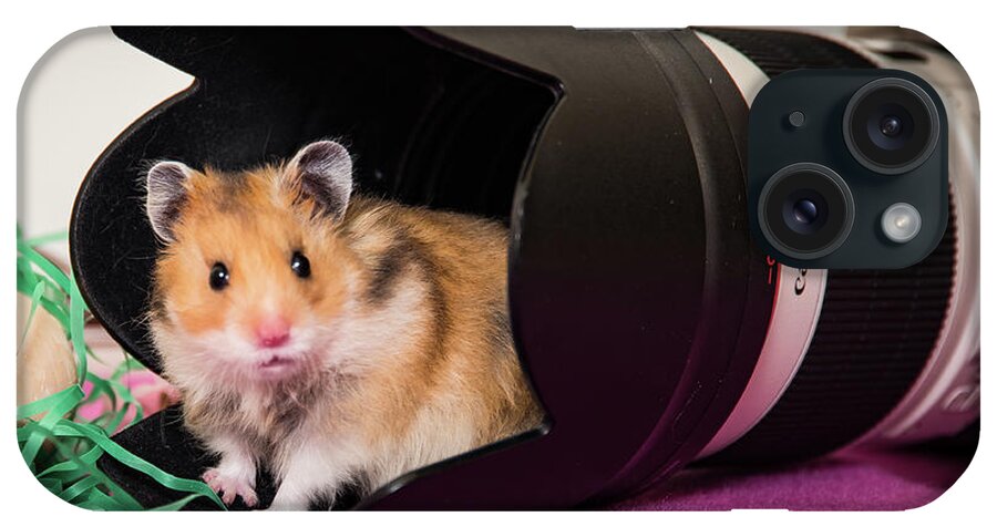 Hamster iPhone Case featuring the photograph Hamster in the Hood by Janis Knight
