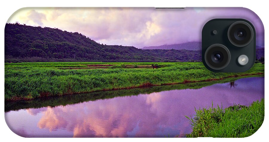 Kauai iPhone Case featuring the photograph Hanalei Valley Dawn by Kevin Smith