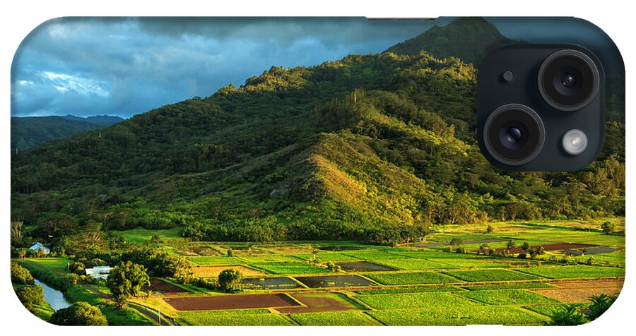 Landscape iPhone Case featuring the photograph Hanalei Valley Taro Fields by James Eddy