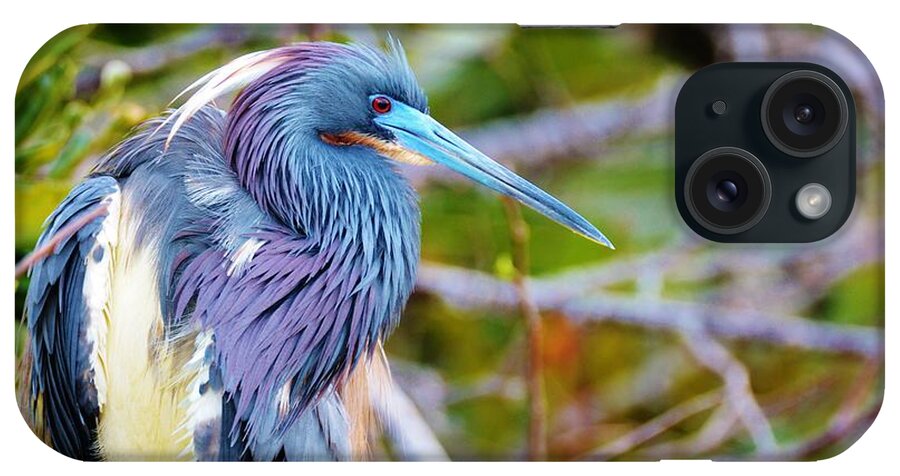 Tri Color Heron iPhone Case featuring the photograph Handsome Prince by Julie Adair