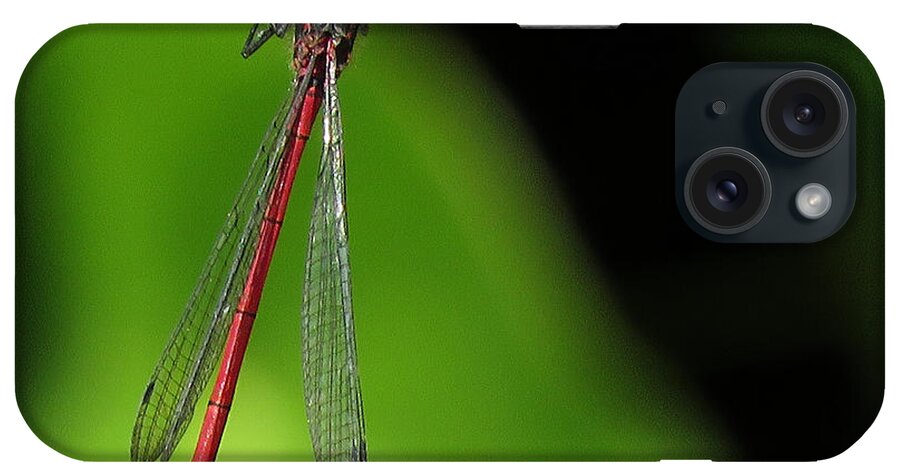 Dragonfly iPhone Case featuring the photograph Hanging Around 2 by John Topman