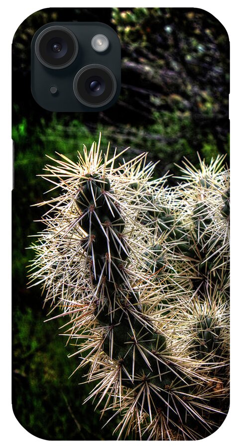 Arizona iPhone Case featuring the photograph Hanging Fruit Cholla Detail by Roger Passman