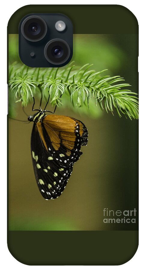 Hanging iPhone Case featuring the photograph Hanging Out by Nick Boren