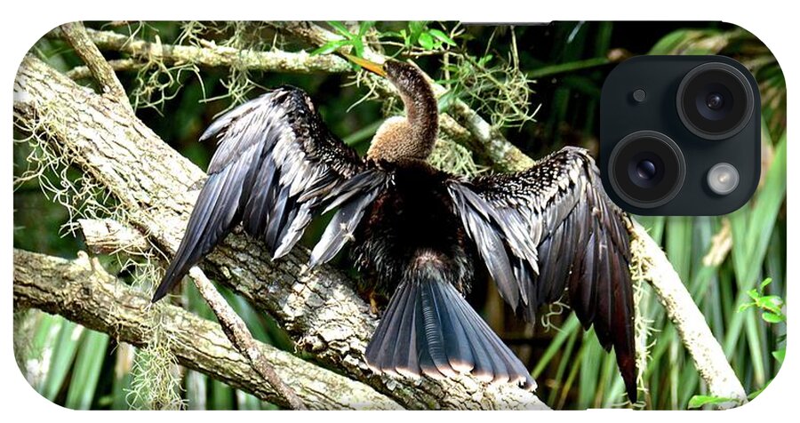 Anhinga iPhone Case featuring the photograph Hanging Out to Dry by Carol Bradley