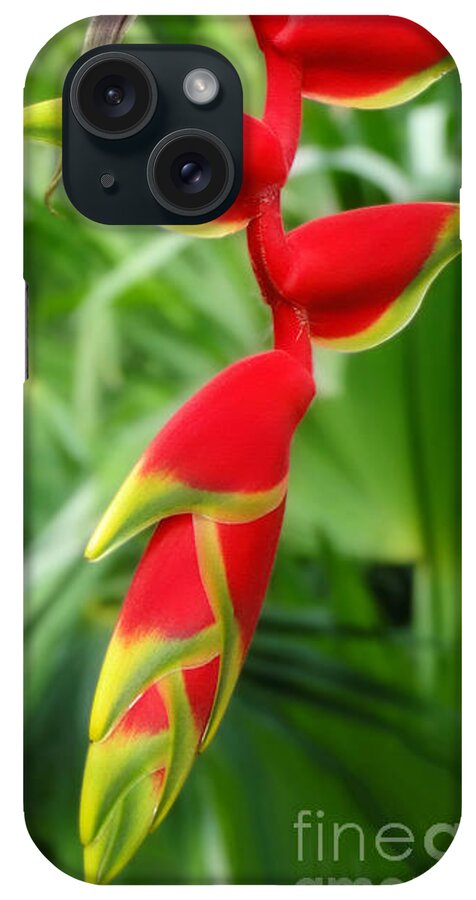 Flower iPhone Case featuring the photograph Hanging Tropical Splendor by Sue Melvin