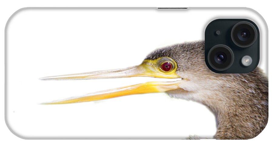 Anhinga iPhone Case featuring the photograph Happy Anhinga by Mark Andrew Thomas