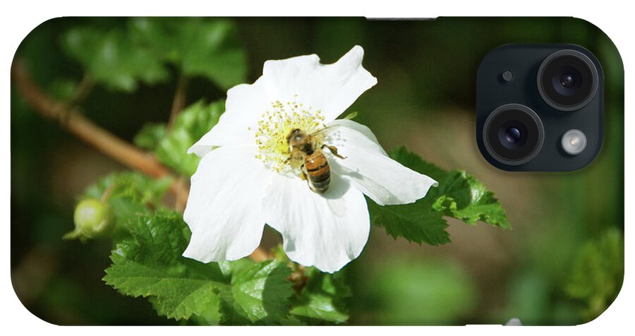 Flower iPhone Case featuring the photograph Happy Bee by Kristin Davidson