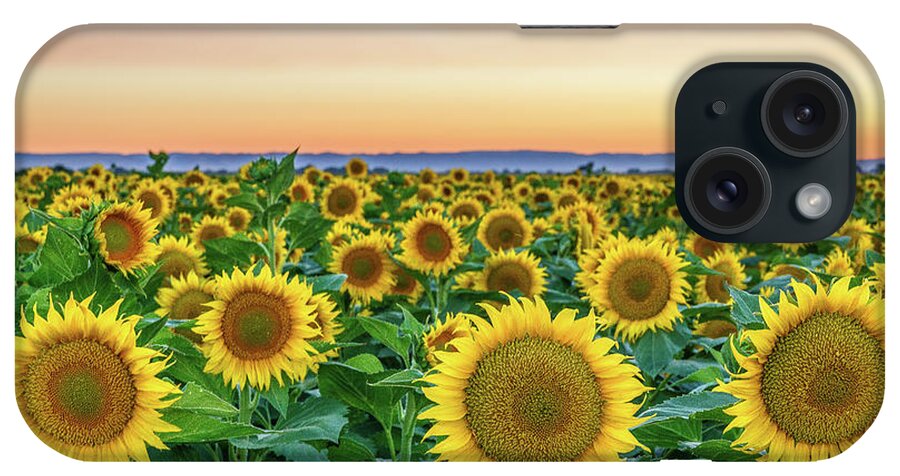 California iPhone Case featuring the photograph Happy Faces by Greg Mitchell Photography
