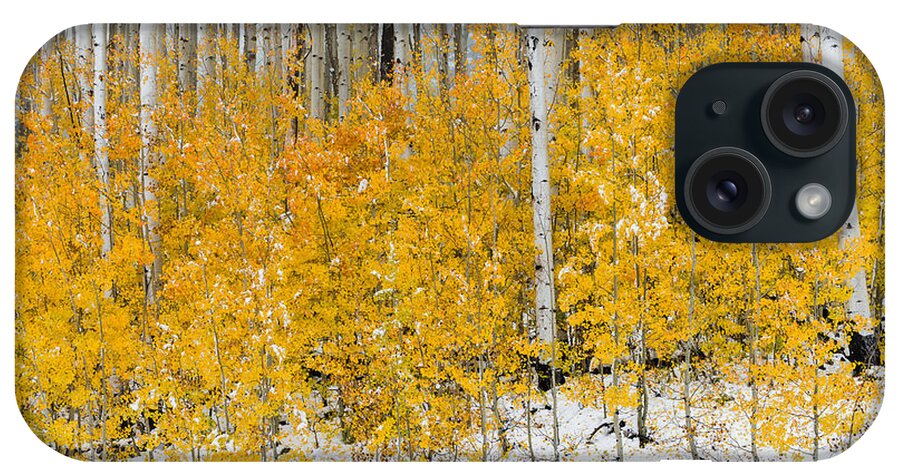 Snow iPhone Case featuring the photograph Happy Fall by Chuck Jason