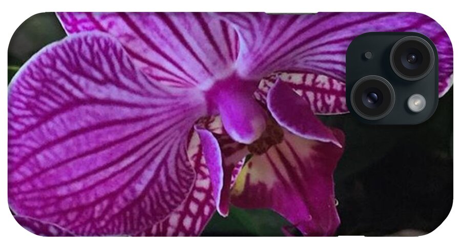 Maui iPhone Case featuring the photograph Happy Spring! #maui #hawaii #flower by Darice Machel McGuire