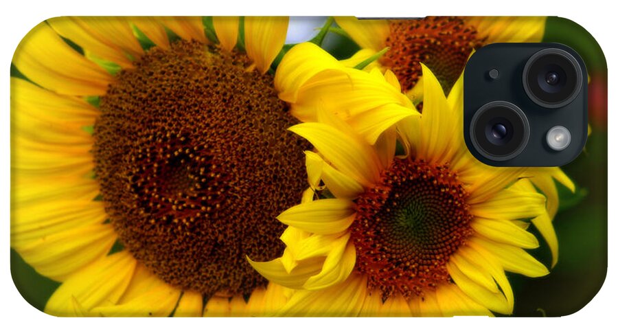 Nature iPhone Case featuring the photograph Happy Sunflowers by Kay Novy