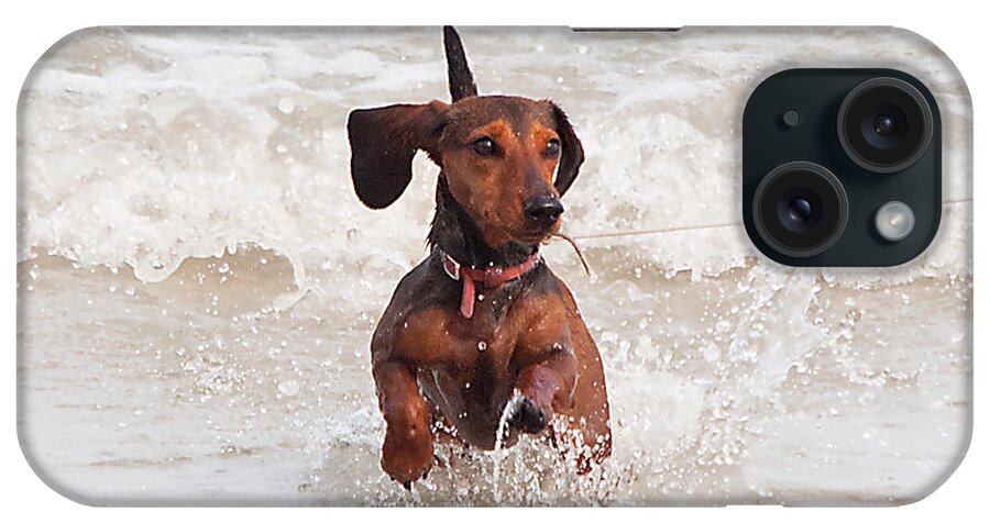 Scenery iPhone Case featuring the photograph Happy Surf Dog by Kenneth Albin