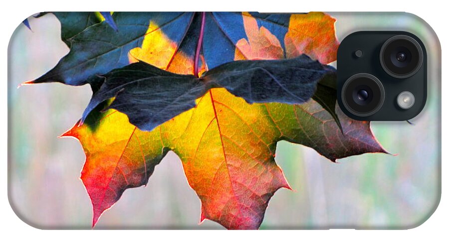 Photography iPhone Case featuring the photograph Harbinger of Autumn by Sean Griffin