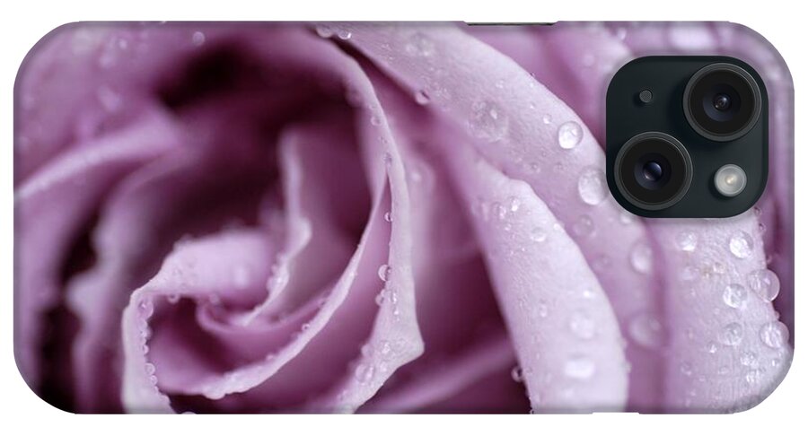 Rose iPhone Case featuring the photograph Harmony by DArcy Evans