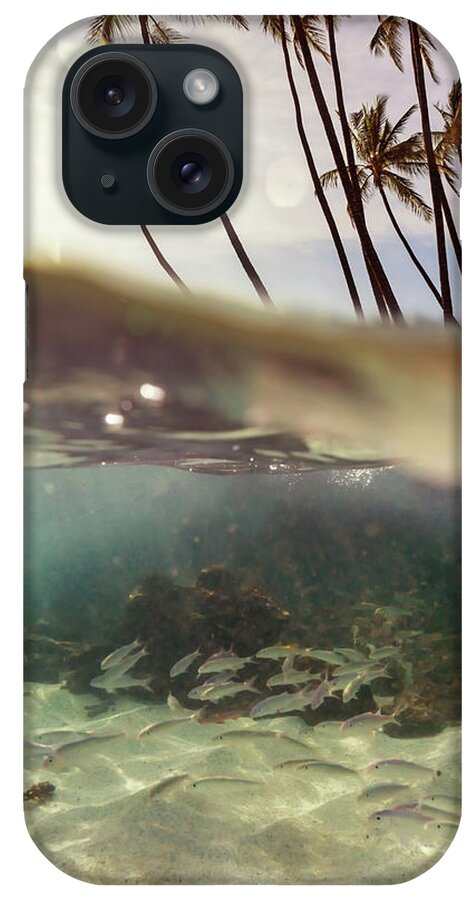 Tropical iPhone Case featuring the photograph Hawaii Underwater Split by Christopher Johnson