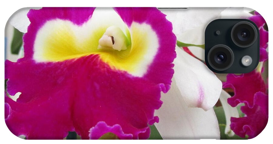 Orchid iPhone Case featuring the photograph Hawaiian Orchid 4 by Randall Weidner