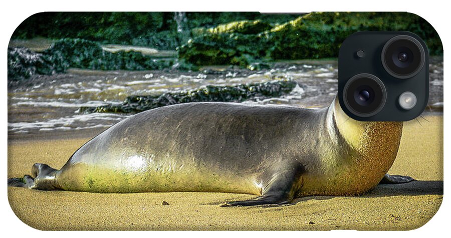 Wildlife iPhone Case featuring the photograph Hawaii'n Monk Seal by Jason Brooks