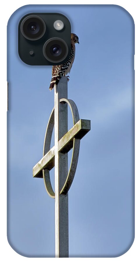 Birds iPhone Case featuring the photograph Hawk on Steeple by Richard Rizzo