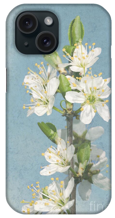 Hawthorn iPhone Case featuring the photograph Hawthorn pastel by Steev Stamford