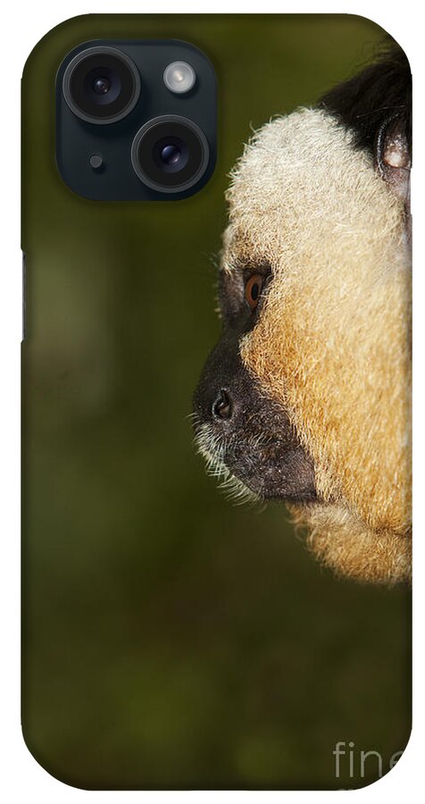 Adult iPhone Case featuring the photograph Head Of White Headed Male Saki by Gerard Lacz