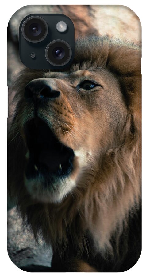 Zoo iPhone Case featuring the photograph Hear Me Roar by Deborah Klubertanz