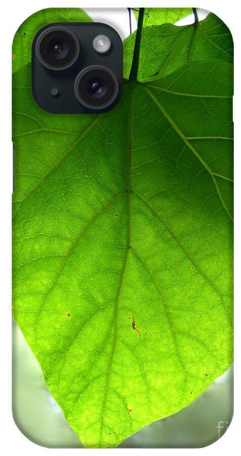 Artoffoxvox iPhone Case featuring the photograph Heart Leaf Photograph by Kristen Fox