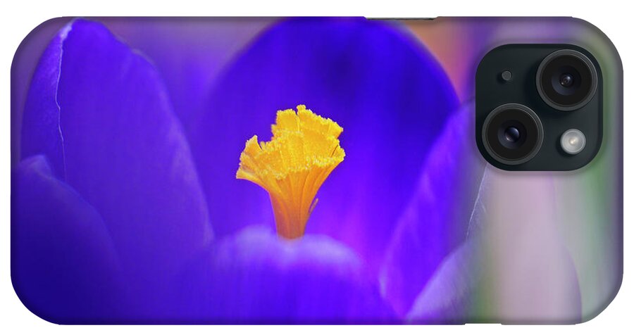 Crocus iPhone Case featuring the photograph Heart of the Crocus by Inge Riis McDonald