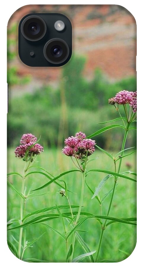 Dinosaur National Monument iPhone Case featuring the photograph Heat Retreat by Brad Hodges