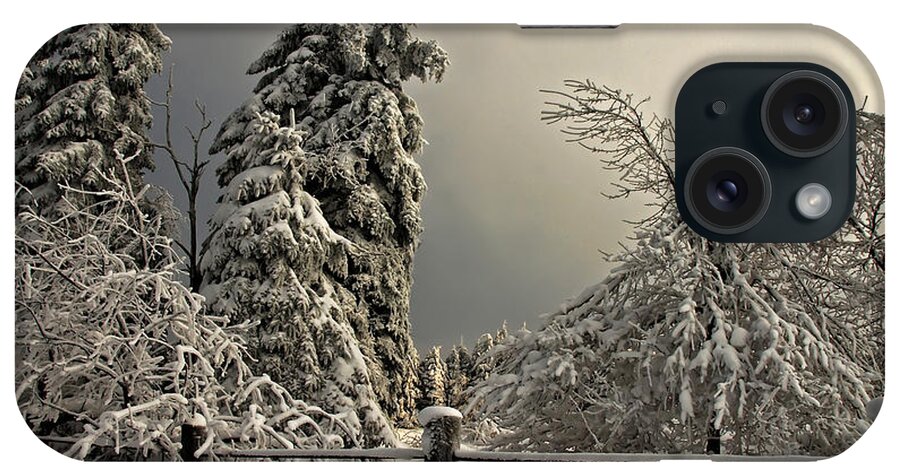 Snow iPhone Case featuring the photograph Heavy Laden by Lois Bryan