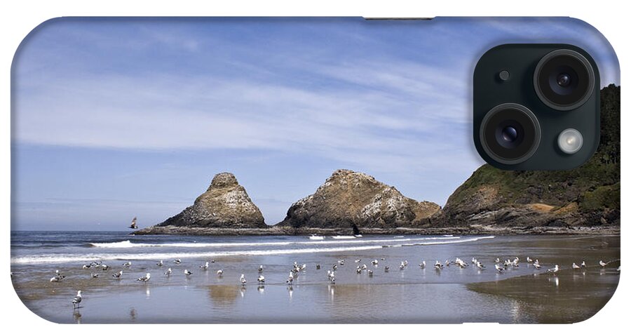Landscape iPhone Case featuring the photograph Heceta Head Lighthouse 1 by Lee Santa