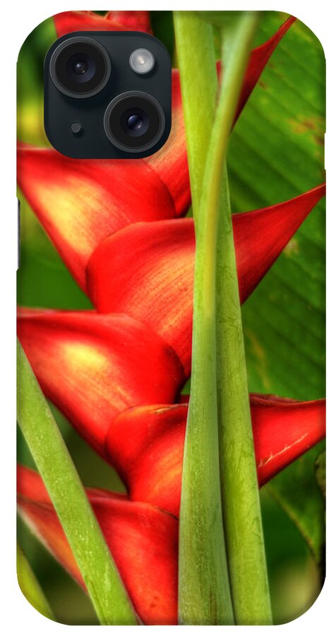 Heliconia iPhone Case featuring the photograph Heliconia by Kelly Wade