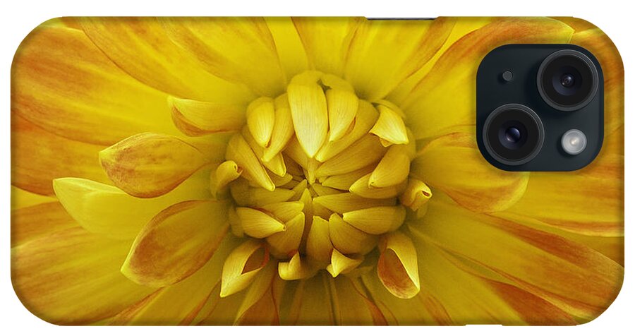 Hello Summer iPhone Case featuring the photograph Hello Summer by Patty Colabuono