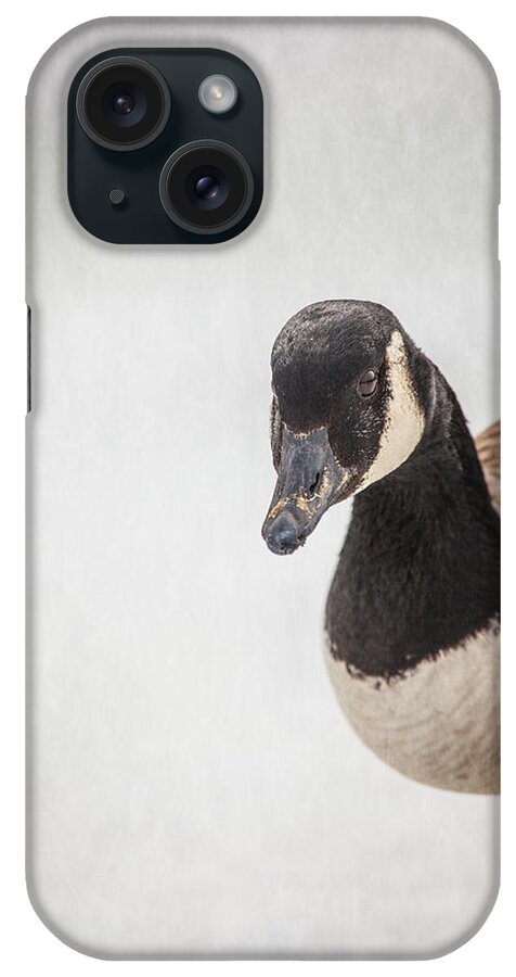 Canada Goose Point iPhone Case featuring the photograph Hello There by Karol Livote