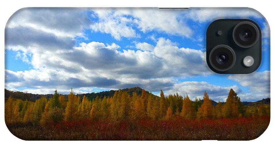 Nature iPhone Case featuring the photograph Tamarack Creek 1 by Brook Burling