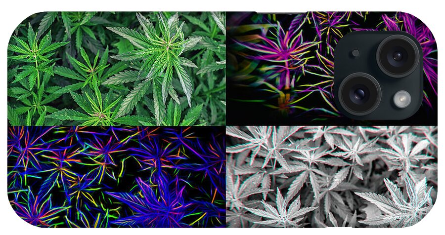 Pot Art iPhone Case featuring the photograph Hemp Marijuana Pot Plant Wall Art by John Williams
