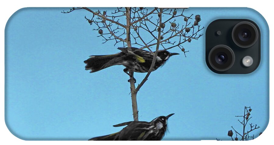 Birds iPhone Case featuring the photograph Henry And Henrietta by Mark Blauhoefer