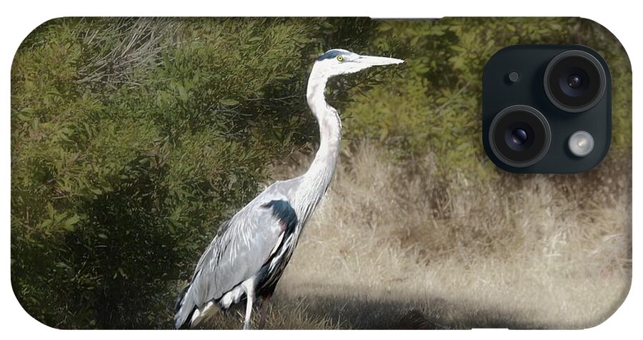 Heron iPhone Case featuring the photograph Henry the Heron by Benanne Stiens