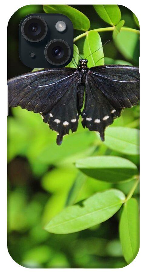 Black Swallowtail iPhone Case featuring the photograph Her Eyes Are Watching- vertical by Michiale Schneider