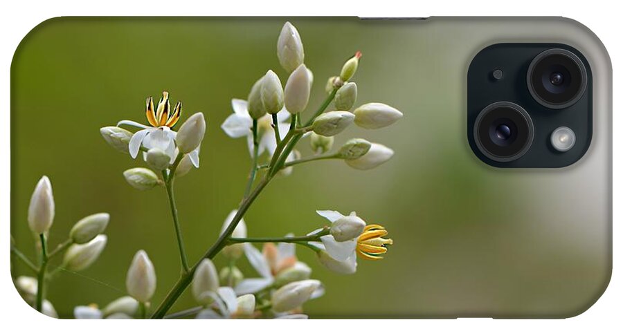 Flowers iPhone Case featuring the photograph Her Majesty by Carolyn Mickulas