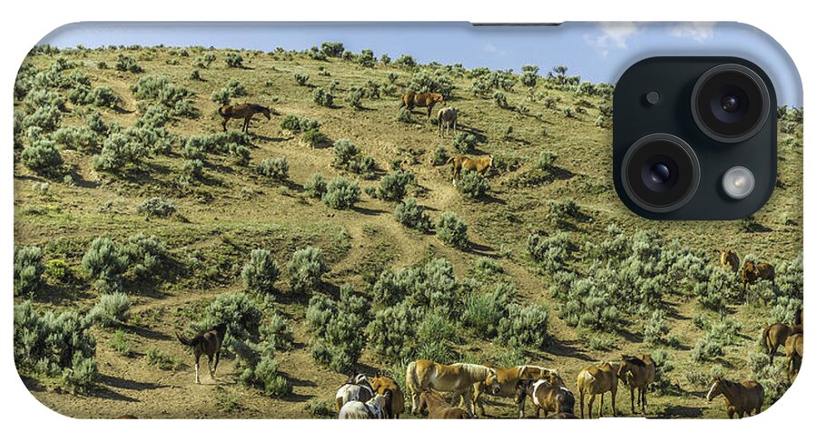 Horses iPhone Case featuring the photograph Herd of Horses by Mark Joseph