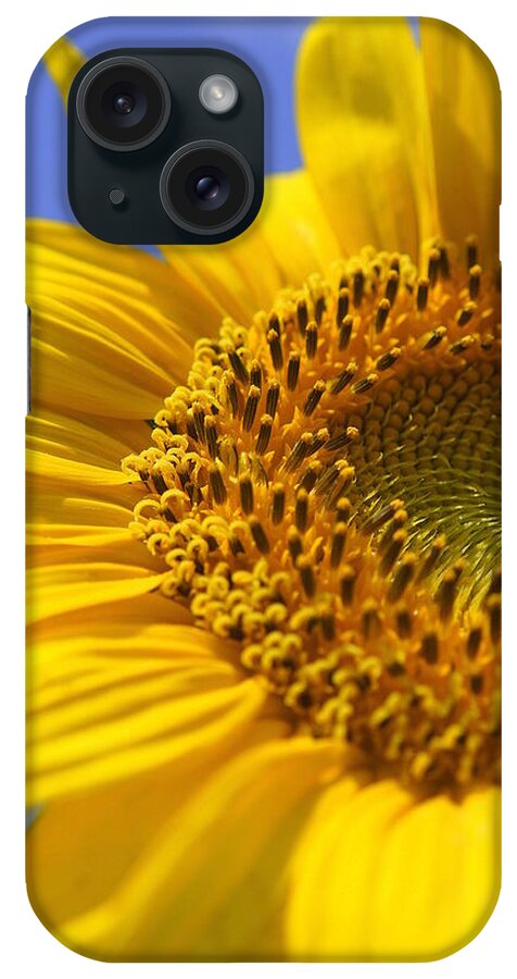 Yellow Sunflower iPhone Case featuring the photograph Here Comes The Sun by Laurie Perry