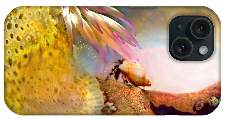 Adria Trail iPhone Case featuring the photograph Hermit Crab Landscape by Adria Trail