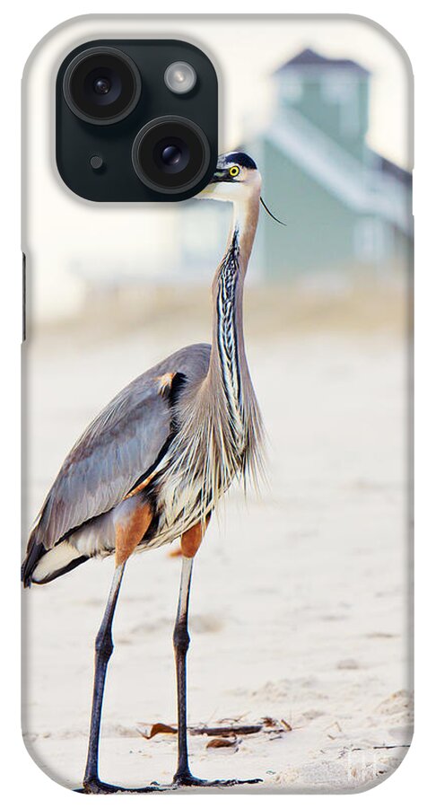 Heron iPhone Case featuring the photograph Heron and the Beach House by Joan McCool