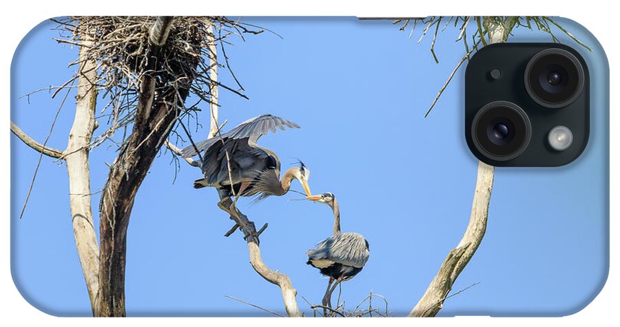 Great Blue Heron iPhone Case featuring the photograph Heron Courting 2 of 6 The Exchange by Joni Eskridge