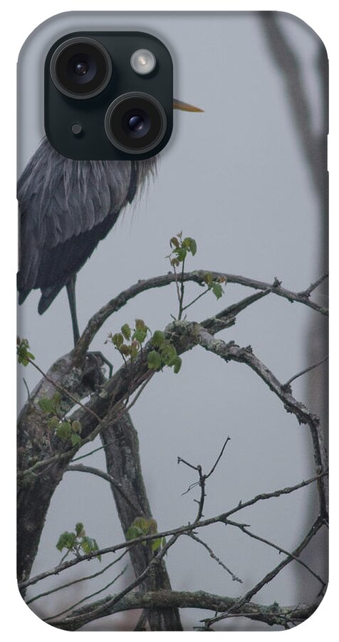 Great iPhone Case featuring the photograph Heron in the Fog by Matt Hammerstein