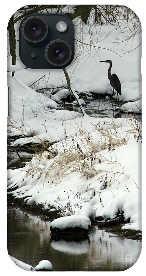 Winter iPhone Case featuring the photograph Heron in Winter by Paula Guttilla